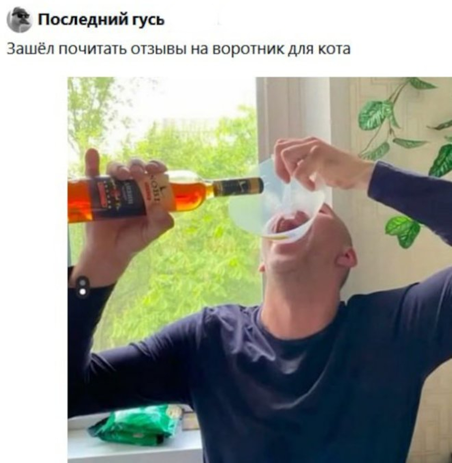 Увеличить Увеличить