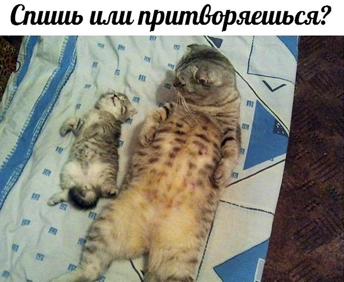 Увеличить Увеличить