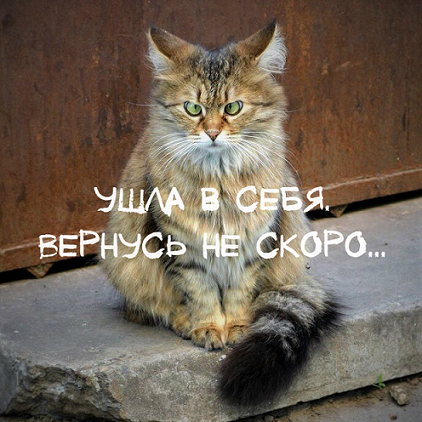 Увеличить Увеличить