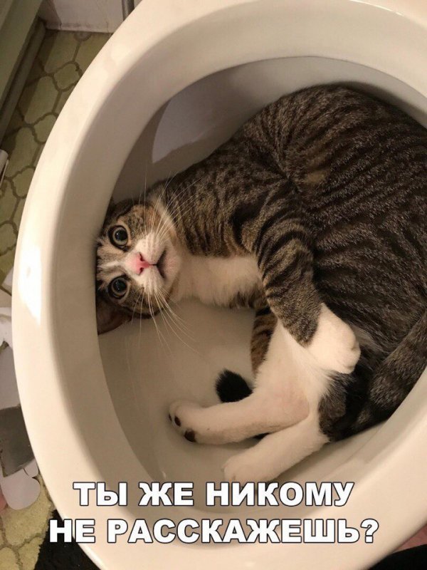 Увеличить Увеличить