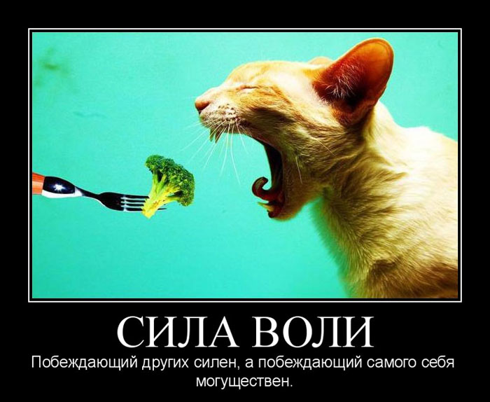 Увеличить Увеличить