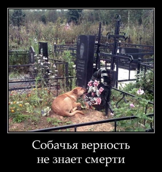 Увеличить Увеличить
