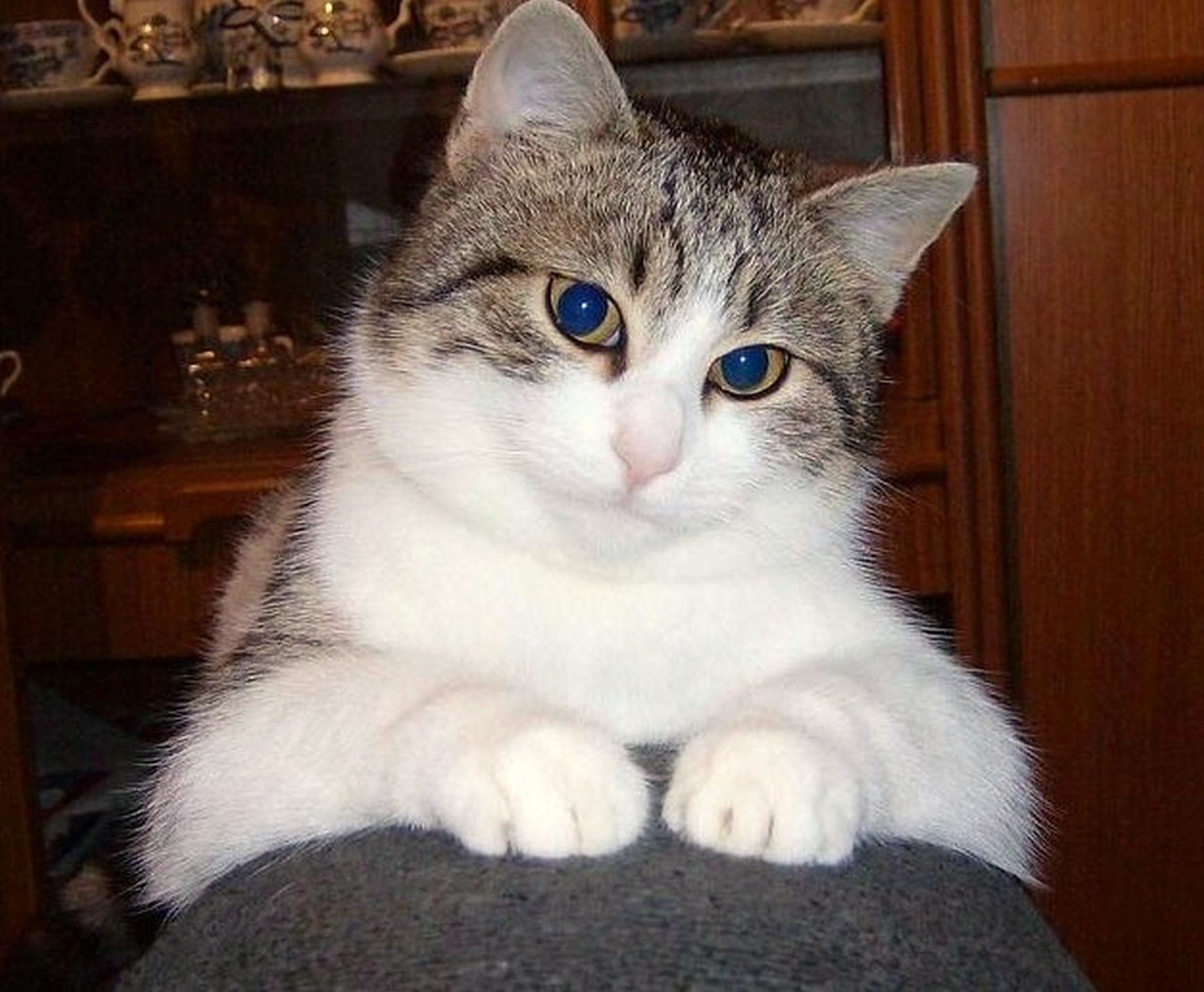 Близимся