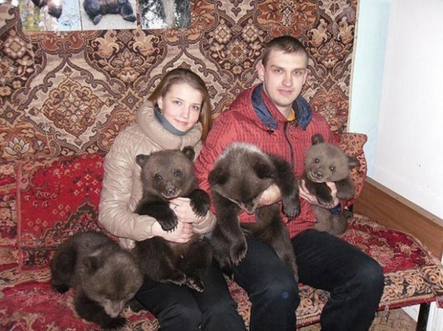 Увеличить Увеличить