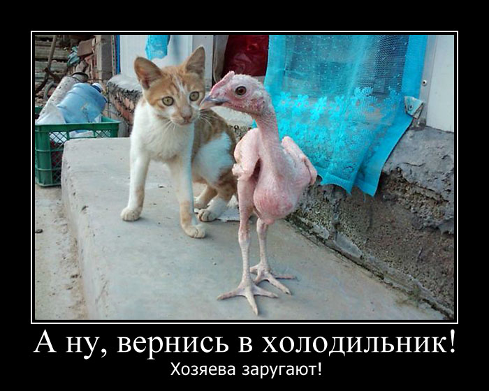 Увеличить Увеличить