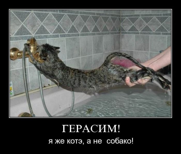 Увеличить Увеличить
