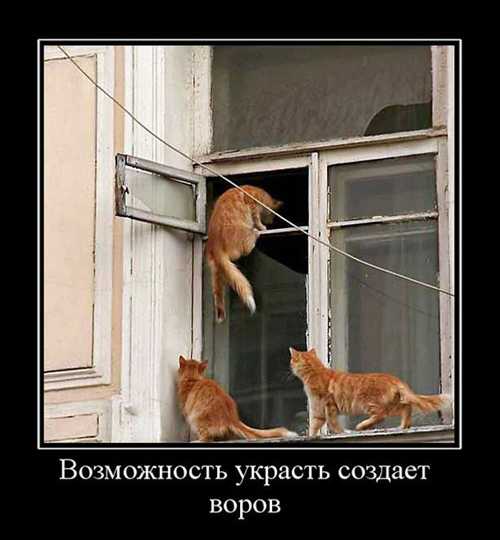 Увеличить Увеличить