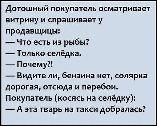 Дотошная лена