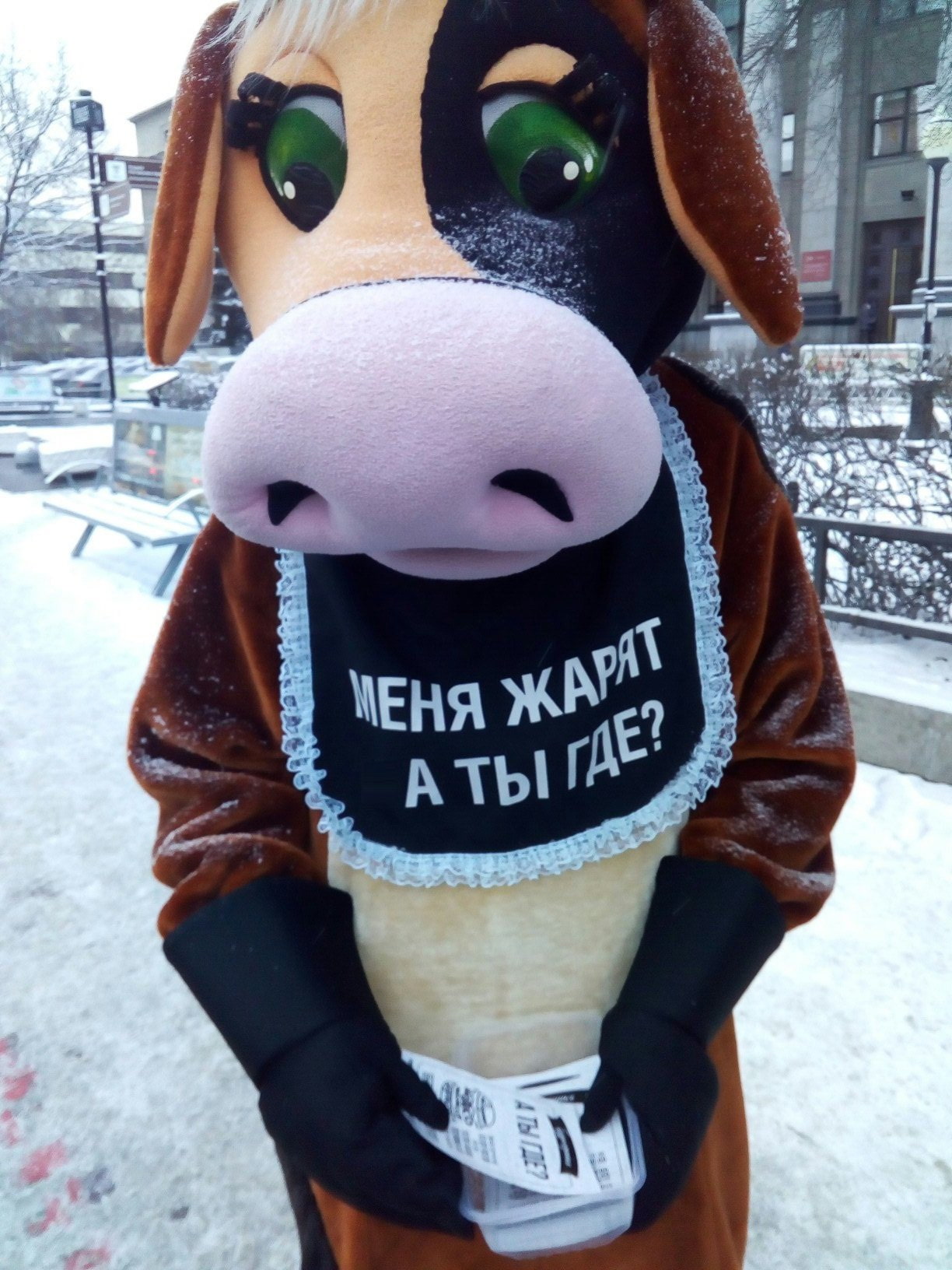 Увеличить Увеличить