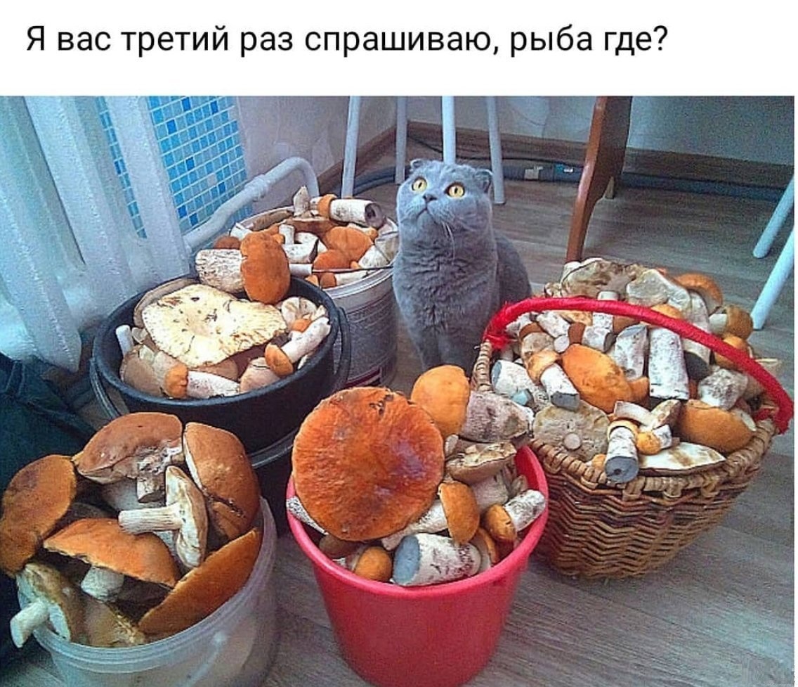 Увеличить Увеличить
