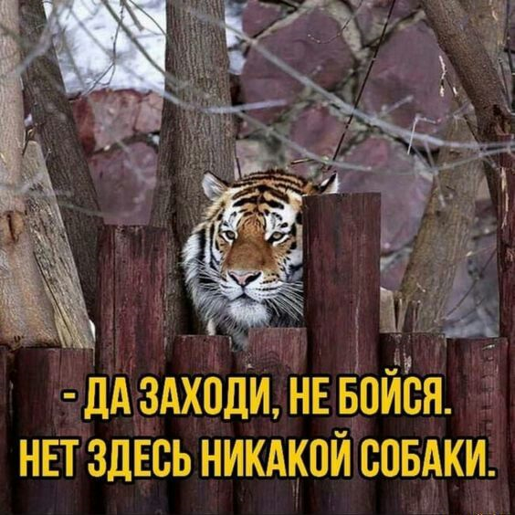 Увеличить Увеличить