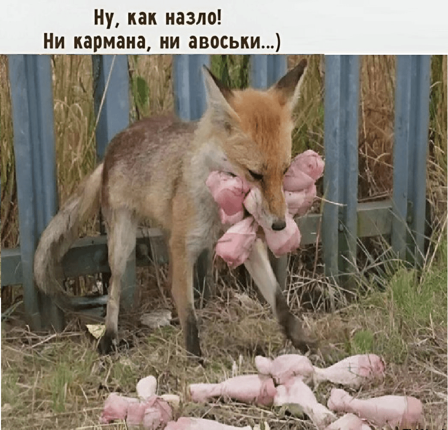 Увеличить Увеличить