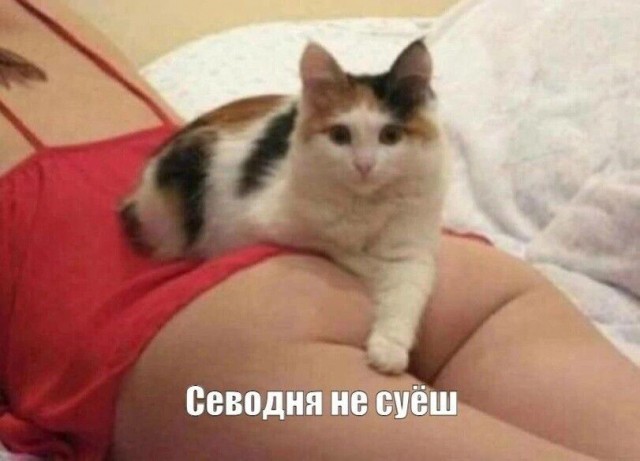 Увеличить Увеличить