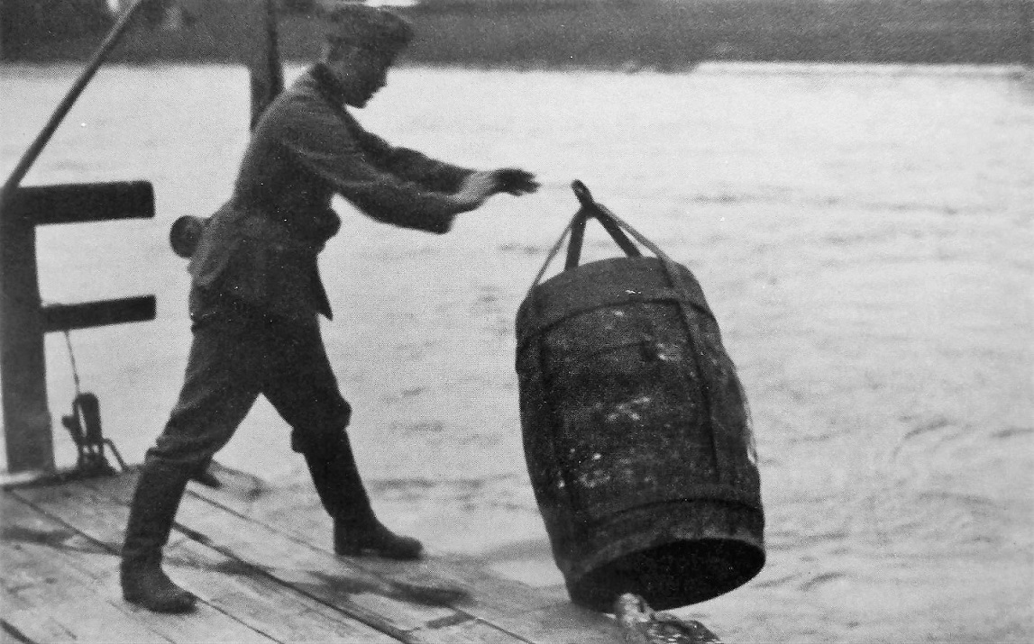 Увеличить Увеличить